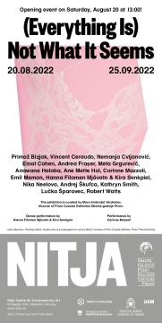 nsfs-06_EverythingIsNotWhatItSeems-invitationDigitalEN-pdf
