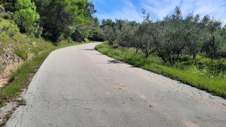 Cesta Dragonja - Sv. Peter