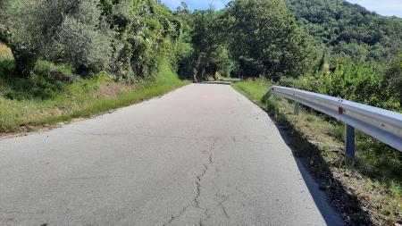 Cesta Dragonja - Sv. Peter