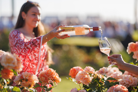 705169_Vrtnice&Rose_Foto-Jaka_Ivančič