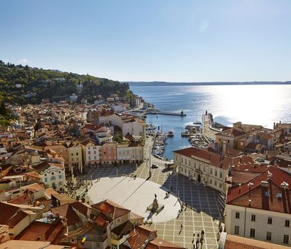 tartinijev_trg_z_zvonika_1