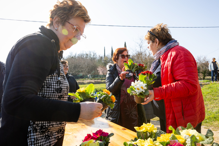 8.mar_Foto_DanielŠkerjanc-7