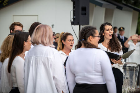 DBP_9374