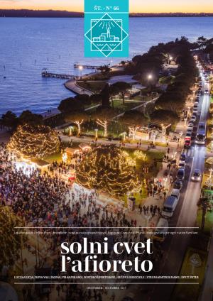 Solni cvet, št. 66, december 2025